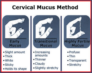 Cervical Mucus Method